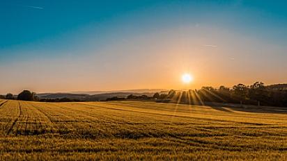 48 Acre Irrigated Farmland